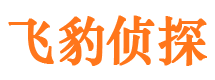 东胜调查取证